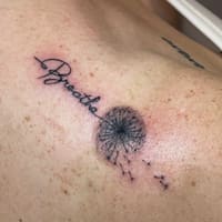 Elise Beauty Brow - permanent makeup work