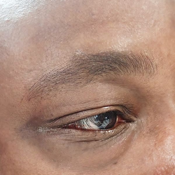 Esthetic Artistry Brow Studio - permanent makeup in Fulshear, TX