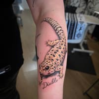 Evolve Tattoo & PMU - permanent makeup work