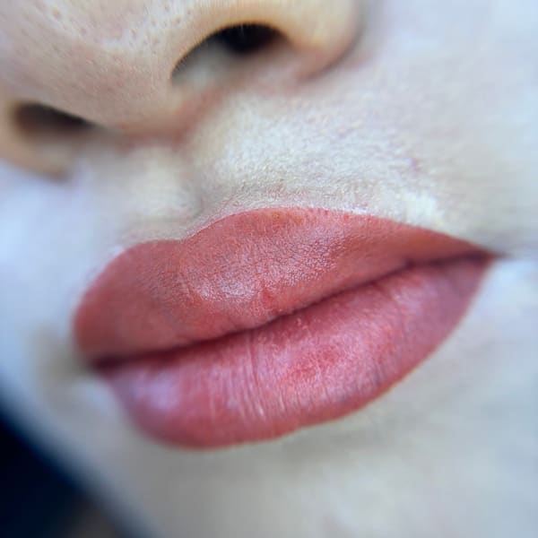 Exotic inks by Tasha - permanent makeup in Red Bluff, CA