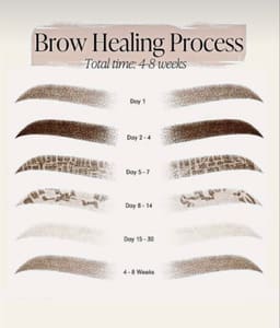 Eyebrow Tattoo result by 3D Eyebrows in Buena Park, CA