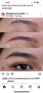 Eyebrow Tattoo result by 805 Ink Studio in Ventura, CA