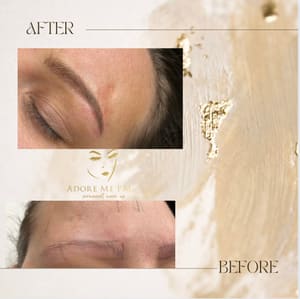 Eyebrow Tattoo result by Adore Me PMU in Wyoming, MI