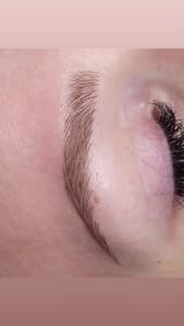 Eyebrow Tattoo result by Advanced Ink Academy LLC in Caldwell, ID