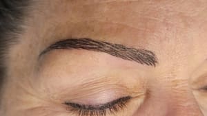 Eyebrow Tattoo result by Advanced Permanent Makeup Institute in Virginia Beach, VA