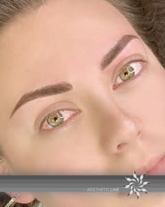 Eyebrow Tattoo result by Aesthetic Line by Ingrid Chacon in Houston, TX