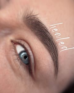 Eyebrow Tattoo result by Alevtina Studio in Vancouver, WA