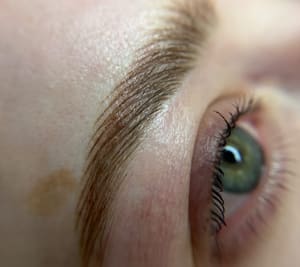 Eyebrow Tattoo result by Alillian Tattoo in Vancouver, WA
