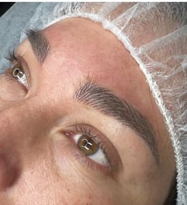 Eyebrow Tattoo result by Ana Cecilia Molina Brows & Beauty in Arlington Heights, IL