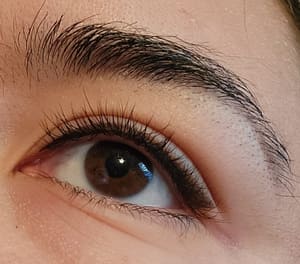 Eyebrow Tattoo result by Anna Kara's Permanent Makeup Studio in San Diego, CA