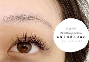 Eyebrow Tattoo result by Annebrows (엘에이 반영구) in Los Angeles, CA