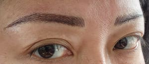 Eyebrow Tattoo result by Annie Eyelash & Permanent Make Up Salon Inc in Staten Island, NY