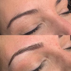 Eyebrow Tattoo result by Antoinette at The Beauty Loft in Crown Point, IN
