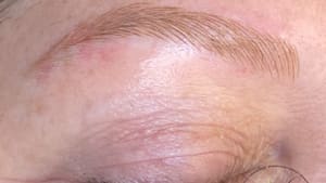 Eyebrow Tattoo result by Arch Envy Eyebrow in Tampa, FL