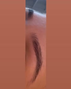 Eyebrow Tattoo result by Art of Brows Beauty Salon in Bartlett, IL