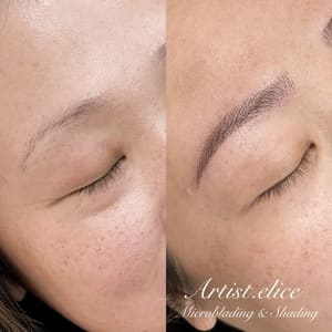 Eyebrow Tattoo result by Artist.elice Permanent Makeup in Lone Tree, CO