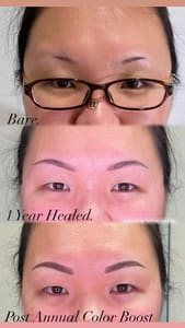 Eyebrow Tattoo result by Artistre Ink in West Palm Beach, FL