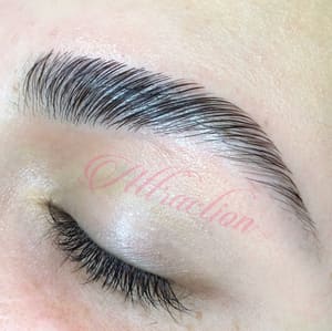 Eyebrow Tattoo result by Arts Of Attraction in St Petersburg, FL