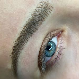 Eyebrow Tattoo result by Ashley Brows in Brighton, MI