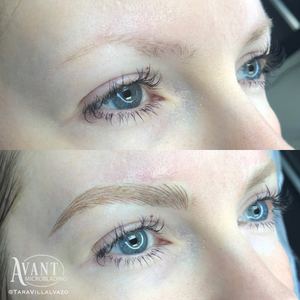 Eyebrow Tattoo result by Avant Permanent Cosmetics in Ferndale, MI