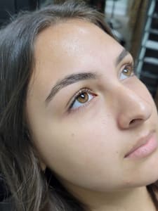 Eyebrow Tattoo result by Azadeh Permanent & Semi Permanent Makeup in Destin, FL