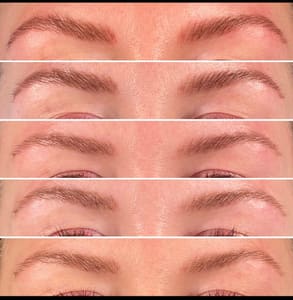 Eyebrow Tattoo result by B.brows in East Greenbush, NY