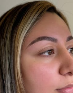 Eyebrow Tattoo result by BareWithBritt Brow Studio in Shillington, PA