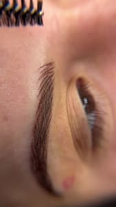 Eyebrow Tattoo result by Beauty Bliss Permanent Makeup Studio & Academy - Tampa's Premier PMU Training Center in Lutz, FL