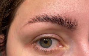 Eyebrow Tattoo result by Beauty of Empire in Bellevue, WA