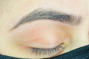 Eyebrow Tattoo result by Beauty Trends in Philadelphia, PA