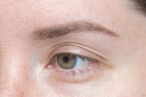 Eyebrow Tattoo result by Bella Faccia Permanent Makeup LLC in Doylestown, PA