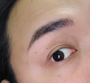 Eyebrow Tattoo result by Black Sheep Brow Studio in San Diego, CA