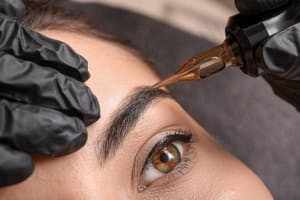 Eyebrow Tattoo result by Black Swan Beauty Tampa in Temple Terrace, FL
