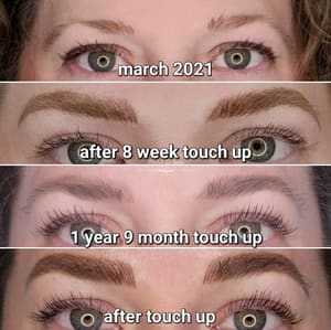 Eyebrow Tattoo result by Bladed by Janine in Sacramento, CA