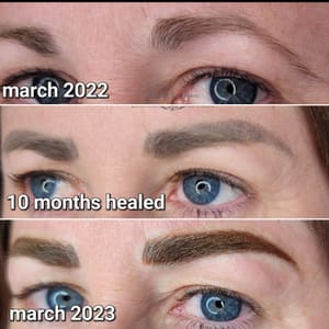 Eyebrow Tattoo result by Bladed by Janine in Sacramento, CA