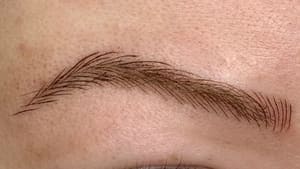 Eyebrow Tattoo result by Bladed by Ray in Sayville, NY