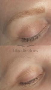 Eyebrow Tattoo result by Blondie Brow in Mishawaka, IN