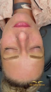 Eyebrow Tattoo result by Blondie Brow in Mishawaka, IN