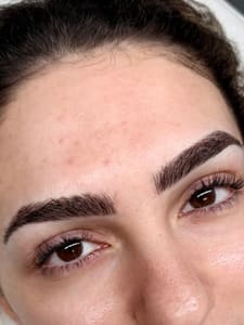 Eyebrow Tattoo result by Blush & Brows Studio in Des Plaines, IL
