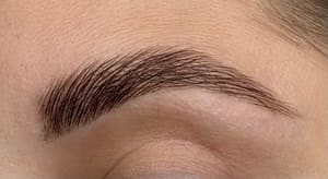 Eyebrow Tattoo result by Bolt Brow in Philadelphia, PA