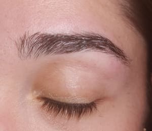 Eyebrow Tattoo result by Boston Perfect Eyebrows LLC in Allston, MA