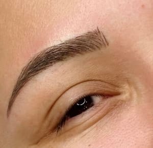Eyebrow Tattoo result by Brazilian Brows by Mah Lewis in Wesley Chapel, FL