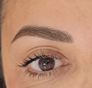 Eyebrow Tattoo result by Brenink Studio in National City, CA
