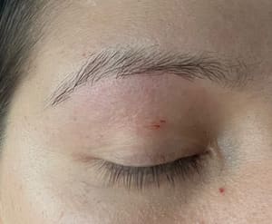 Eyebrow Tattoo result by Brow Art 23 in Plantation, FL