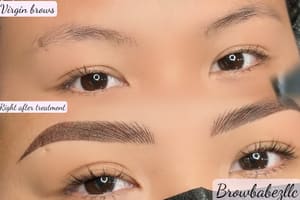 Eyebrow Tattoo result by Brow Babez LLC in Suffield, CT