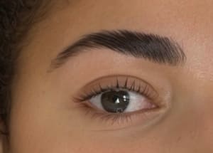 Eyebrow Tattoo result by Brow Queen Tolou in Jacksonville, FL