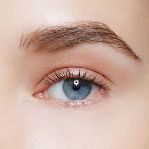 Eyebrow Tattoo result by Browlush in Los Angeles, CA