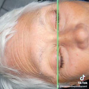 Eyebrow Tattoo result by Brows and Beyond by Carol in Sebring, FL