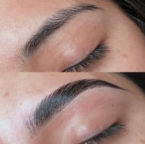 Eyebrow Tattoo result by Brows and Lashes by Erika C. in Miami Beach, FL