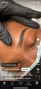 Eyebrow Tattoo result by Brows & Beauty by Dana in Detroit, MI